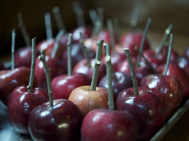 Apples with sticks 790 xxx