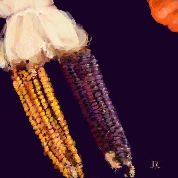 Dried corn 790 xxx