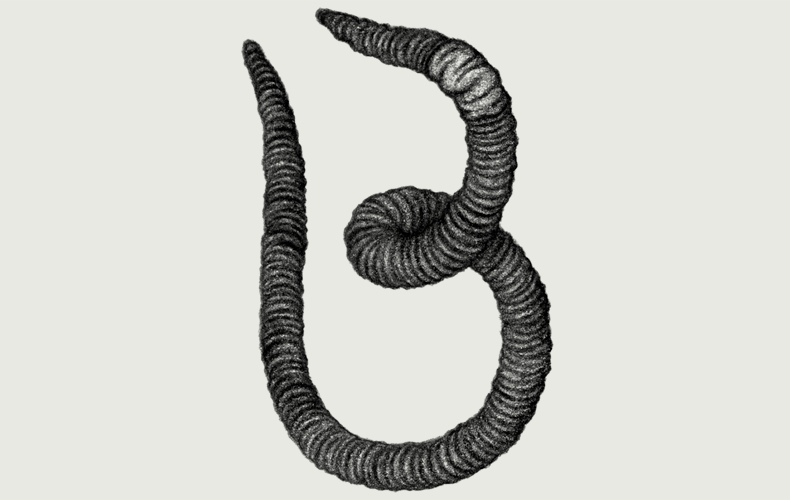 B