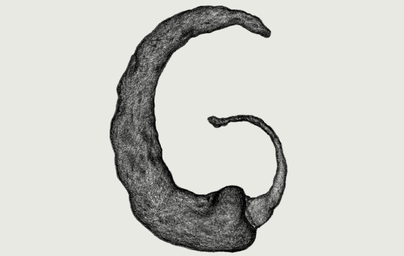 G