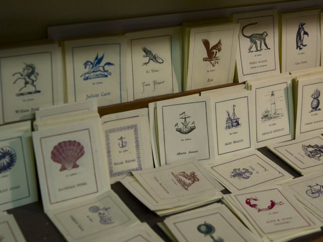 Cards 790 xxx